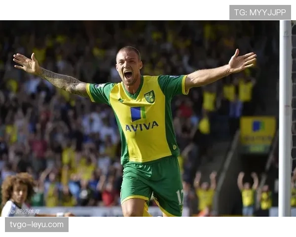 诺维奇卡罗路魔力：探秘英超赛季中城市旅游的隐秘魅力与新发现