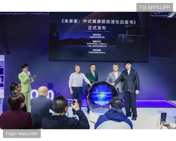 法马攻防平衡方法引领金融市场稳定策略新范式，未来应用前景广阔