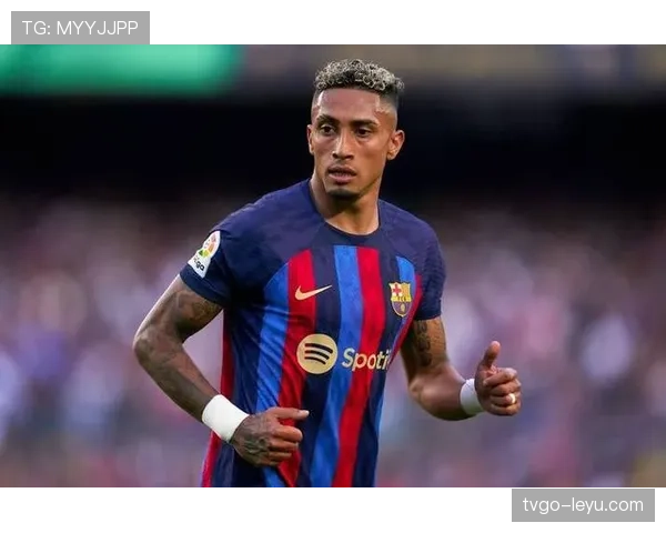 拉菲尼亚与萨卡:核心地位与体系角色对比分析 拉菲尼亚与萨卡:核心地位与体系角色对比分析